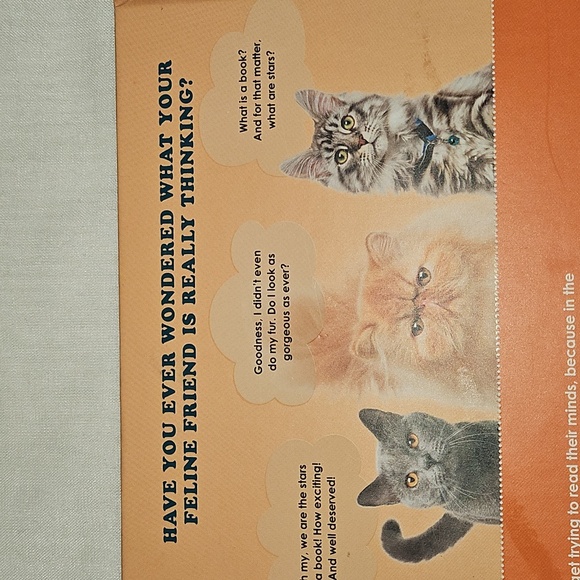 🟢 The Secret Thoughts of Cats Book - Picture 6 of 6